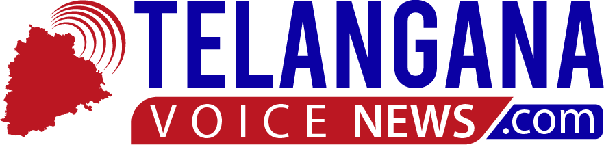 Telangana Voice News Logo