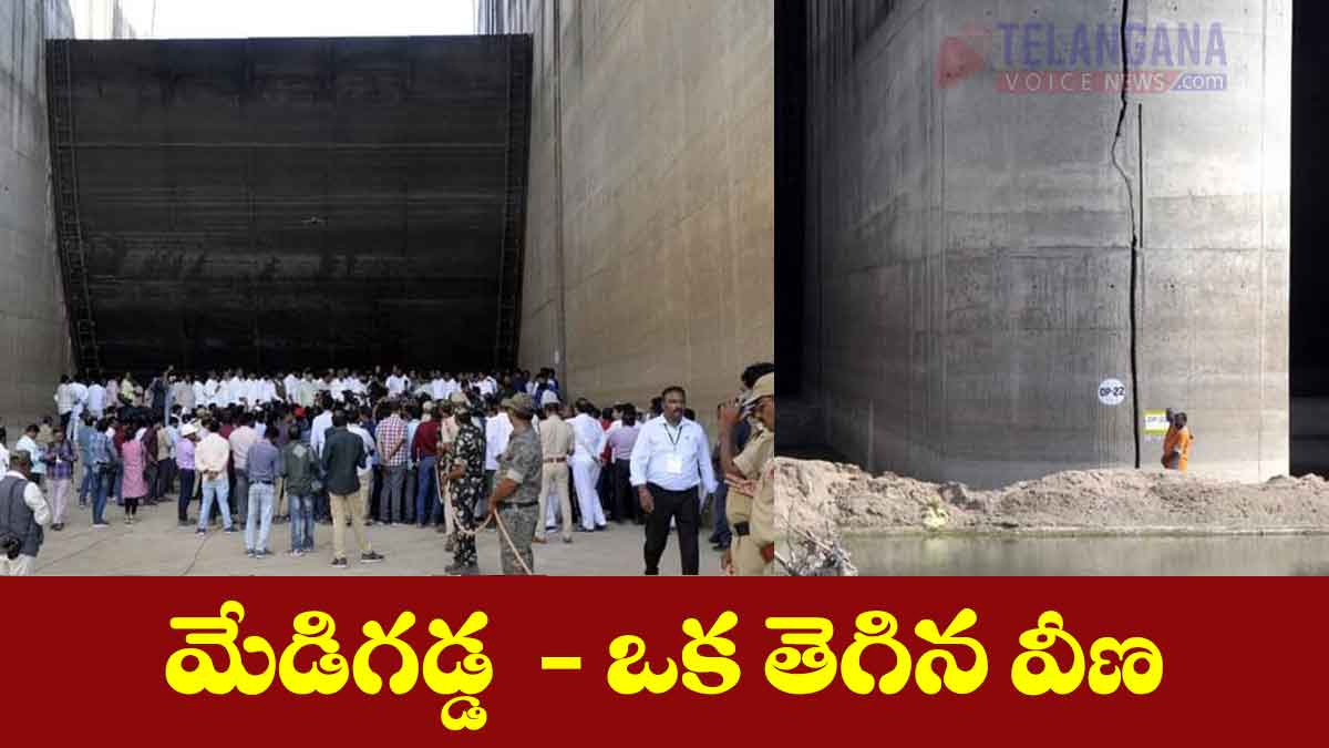 మేడిగడ్డ – ఒక తెగిన వీణ